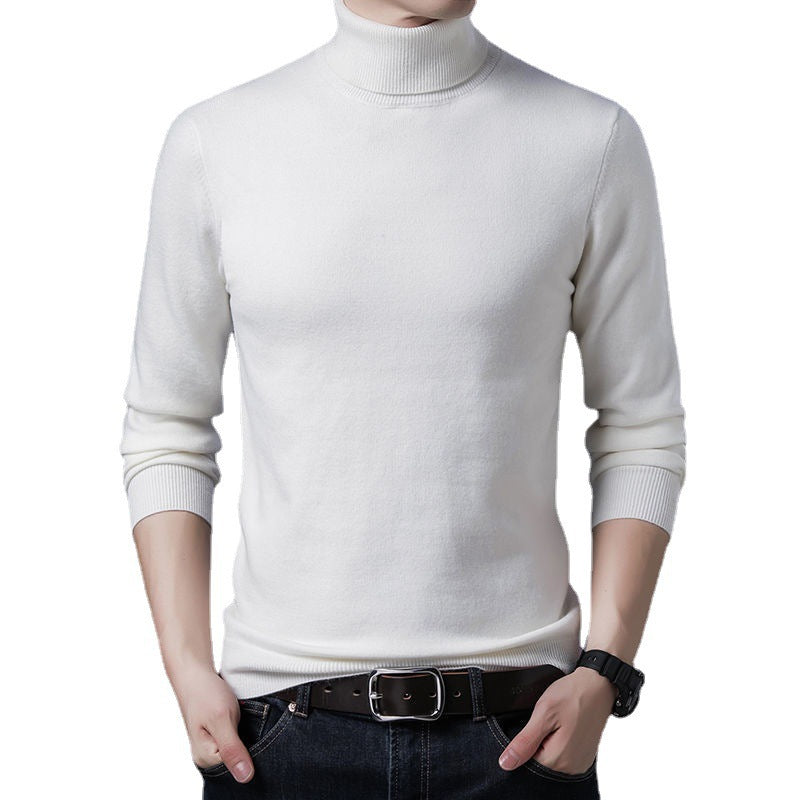 Herren Rollkragenpullover aus weichem Strick Aliams