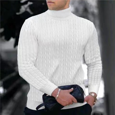 Herren Strickpullover mit modernem Rippmuster und hohem Kragen Aliams