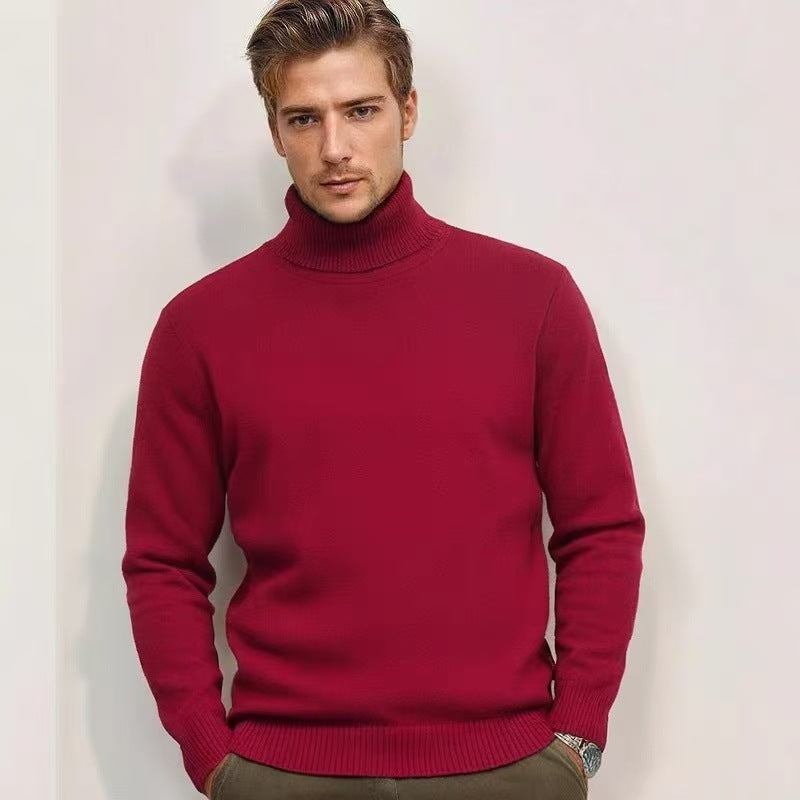 Herren Rollkragenpullover aus feinem Strick Aliams