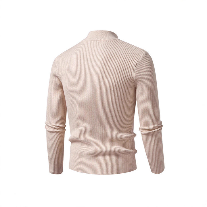 Herren Rollkragenpullover aus strukturiertem Strickmaterial Aliams