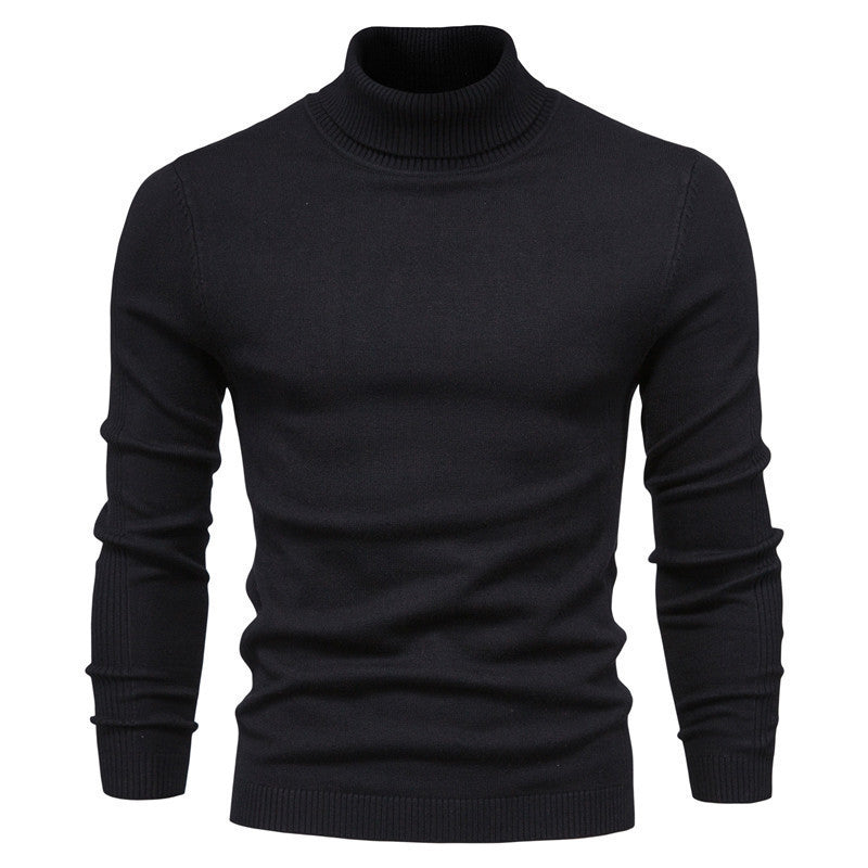 Herren Rollkragenpullover aus hochwertiger Wolle Aliams