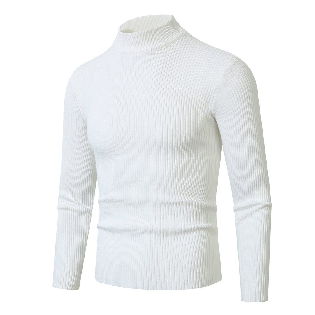 Herren Rollkragenpullover aus feinem Rippstrickmaterial Aliams