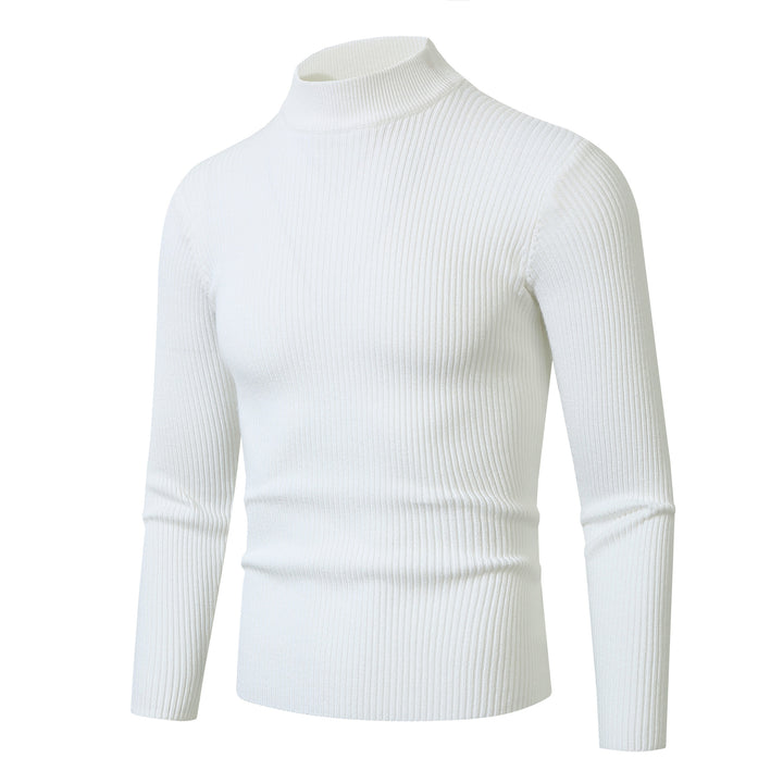 Herren Rollkragenpullover aus feinem Rippstrickmaterial Aliams
