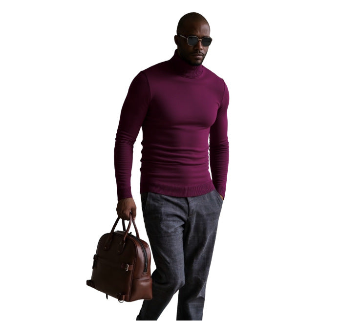 Herren rollkragen pullover mit feiner Struktur Aliams