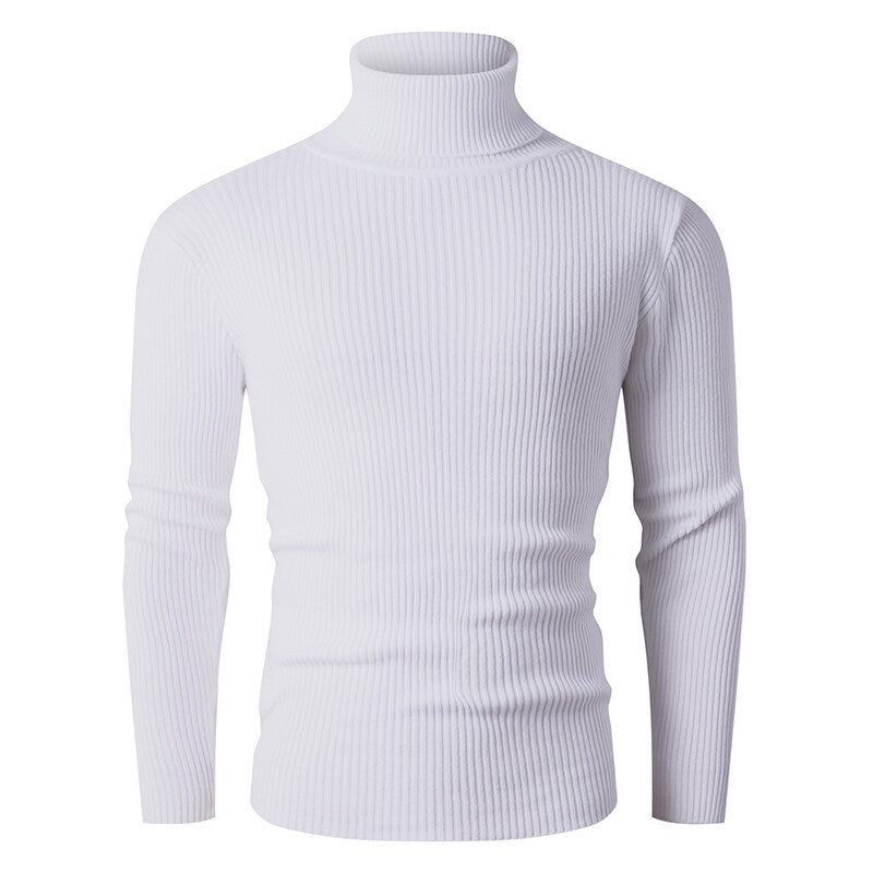 Herren Rollkragenpullover aus feinem Rippstrick Aliams
