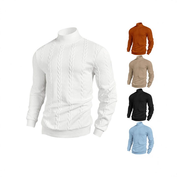 Herren Strickpullover mit hohem Kragen Aliams