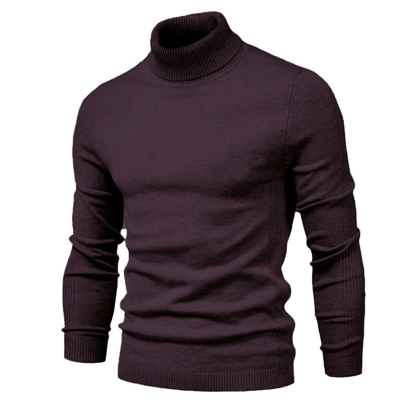 Herren Eleganter Rollkragenpullover aus weicher Wolle Aliams