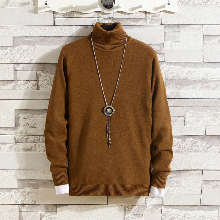 Herren Rollkragenpullover aus hochwertigem Strickmaterial Aliams