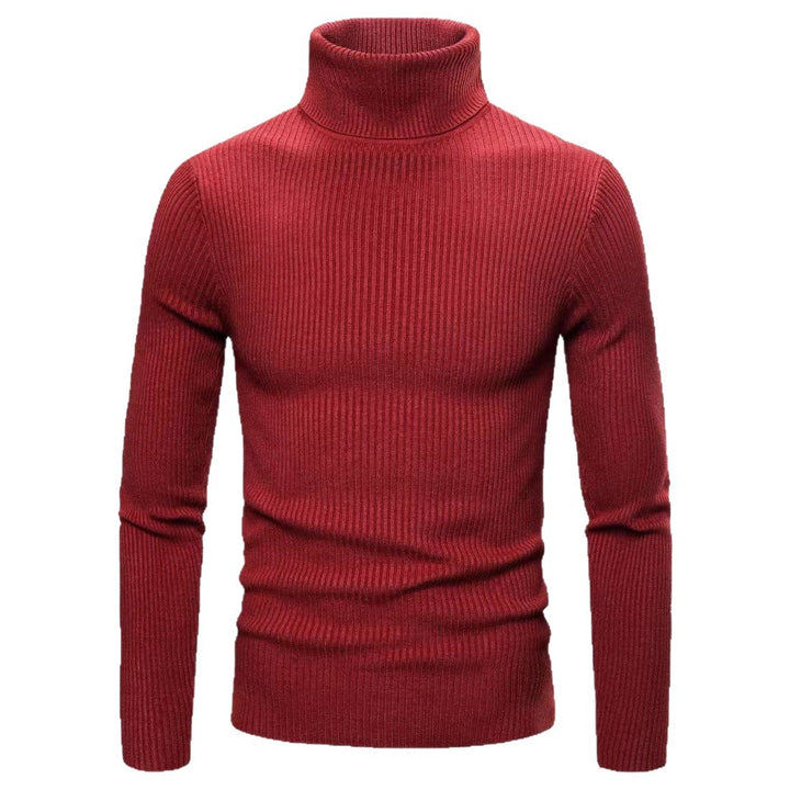 Herren hochwertiger Rollkragenpullover aus feinem Rippstrick Aliams