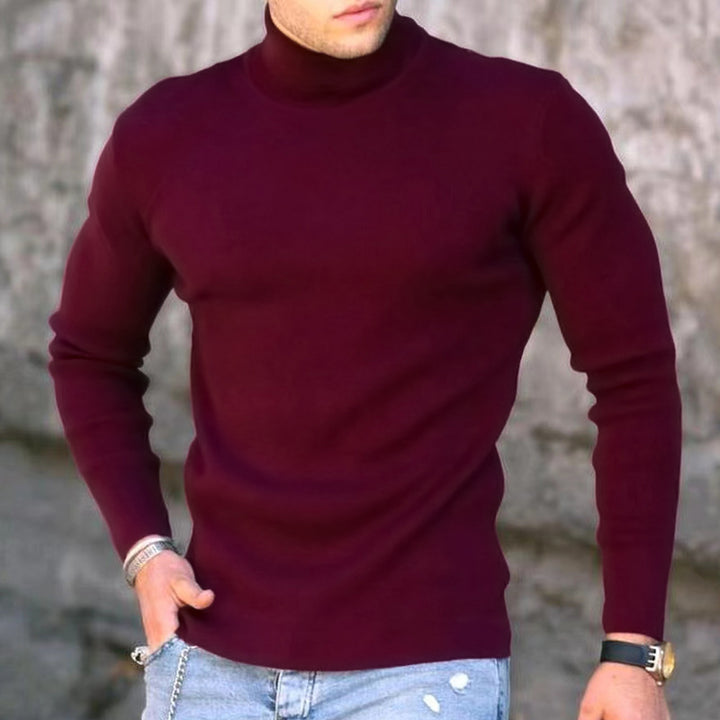 Herren eleganter Rollkragenpullover Aliams