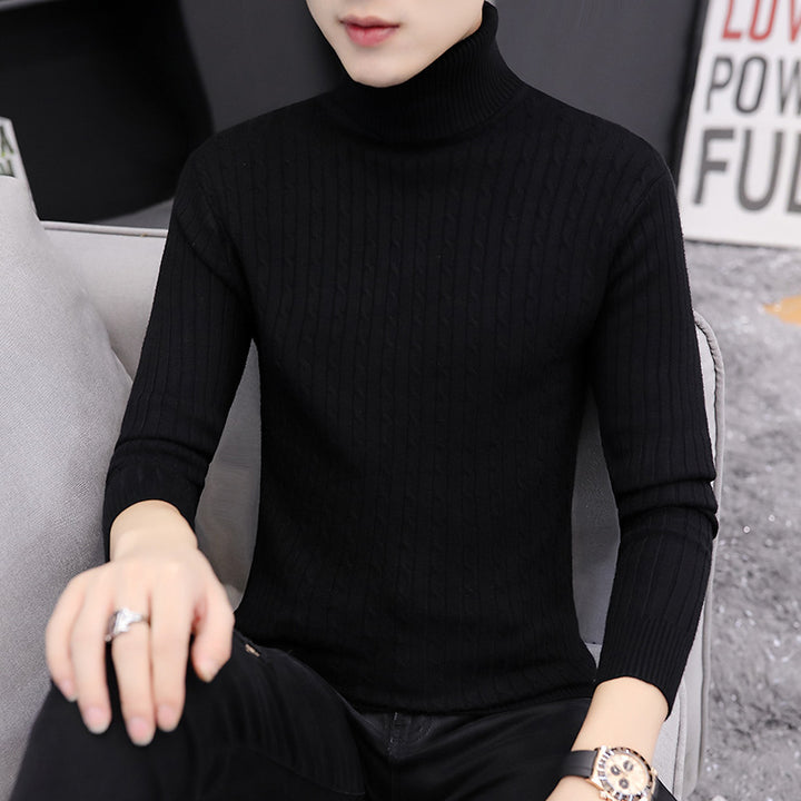 Herren Rollkragenpullover im stilvollen Rippstrickdesign Aliams