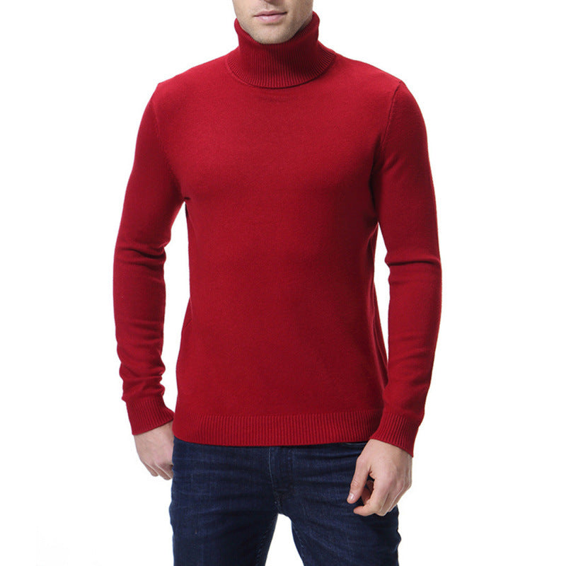 Herren eleganter Rollkragenpullover aus hochwertiger Baumwolle Aliams
