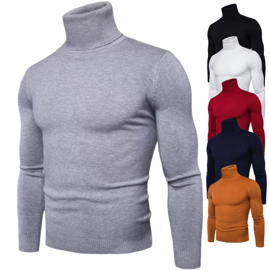 Herren Rollkragenpullover aus hochwertiger Baumwolle Aliams