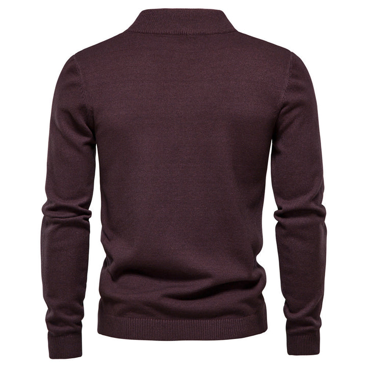 Herren Feinstrickpullover mit hohem Kragen und modernem Design Aliams