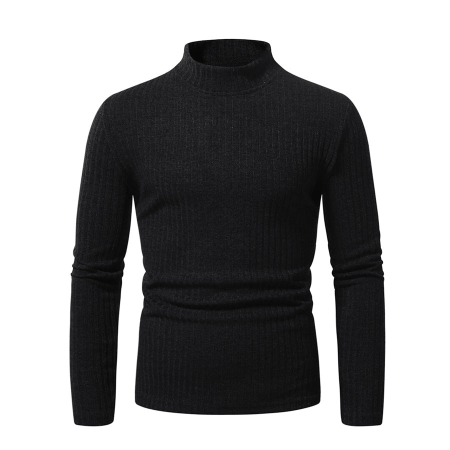 Herren feinstrickender Rollkragenpullover Aliams