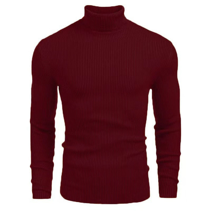 Herren Rollkragenpullover mit strukturiertem Rippenmuster Aliams