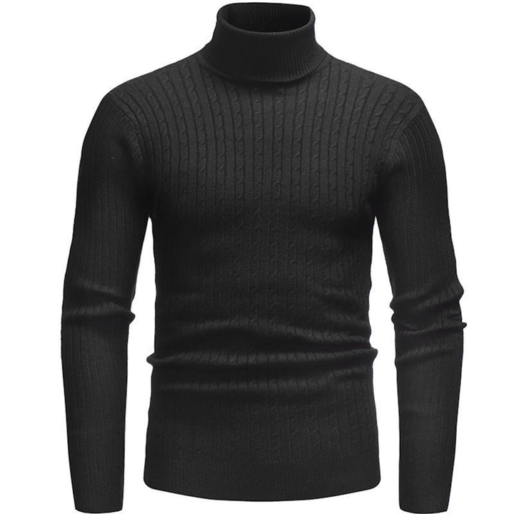 Herren feinstrick Rollkragenpullover Aliams