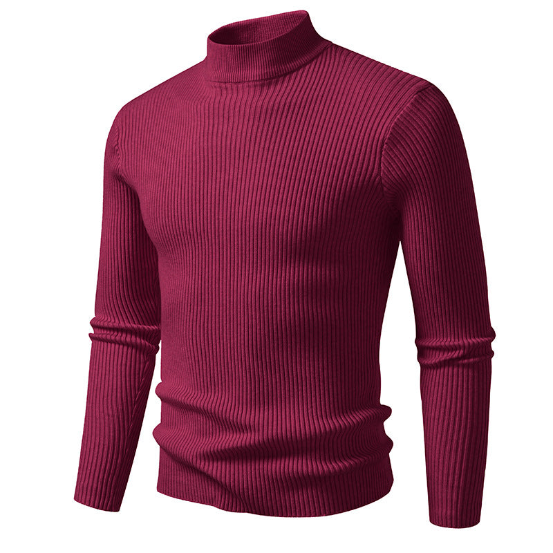 Herren Rollkragenpullover mit strukturierter Ripp-Optik Aliams
