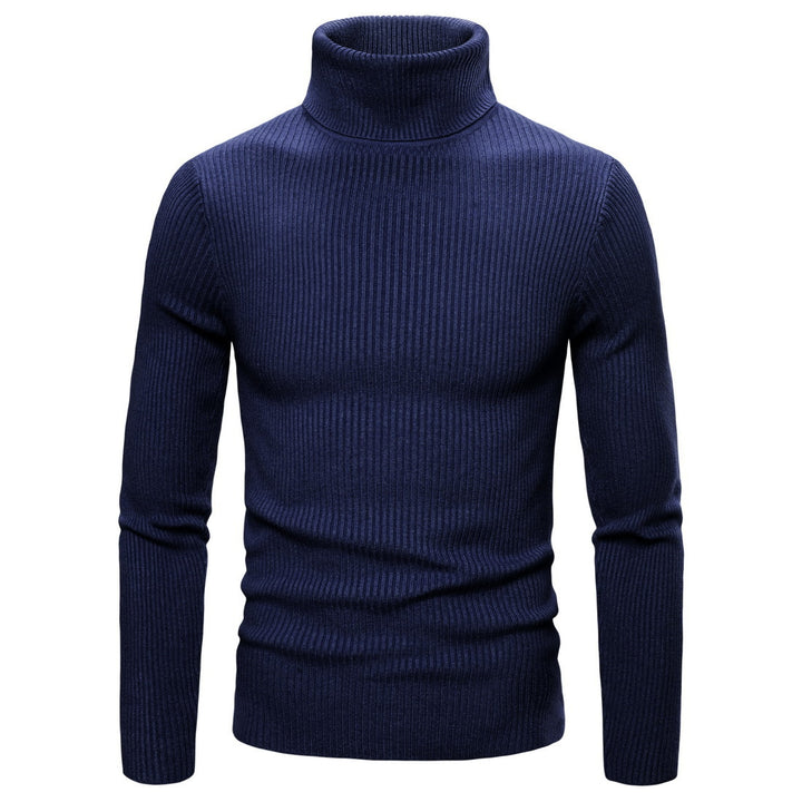 Herren Rollkragenpullover aus weichem Strick mit Rippstruktur Aliams