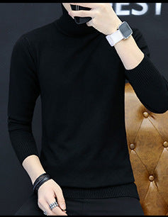 Herren Rollkragenpullover aus feinem Strick Aliams