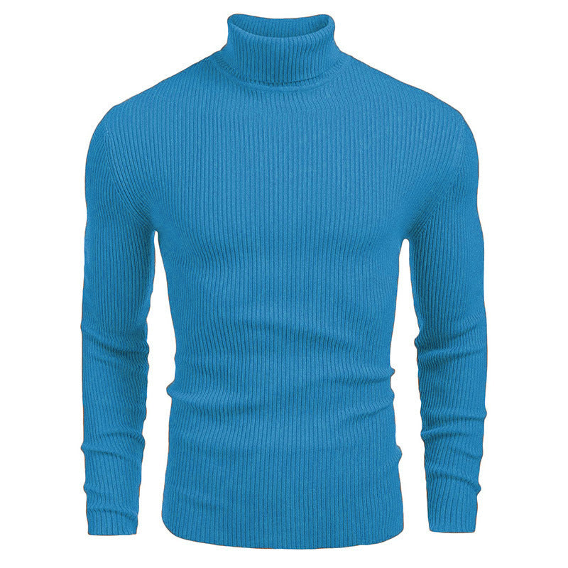 Herren Rollkragenpullover aus feinem Rippstrick Aliams