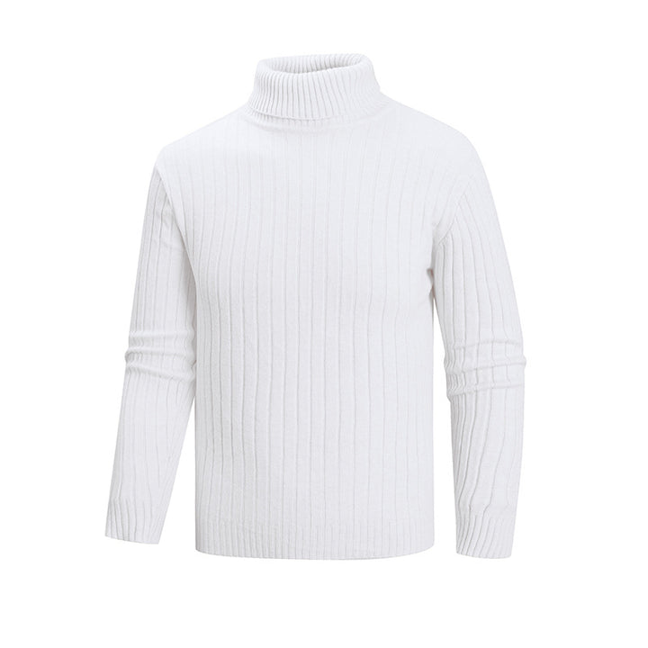 Herren eleganter Pullover mit hohem Kragen und feiner Rippenstruktur Aliams
