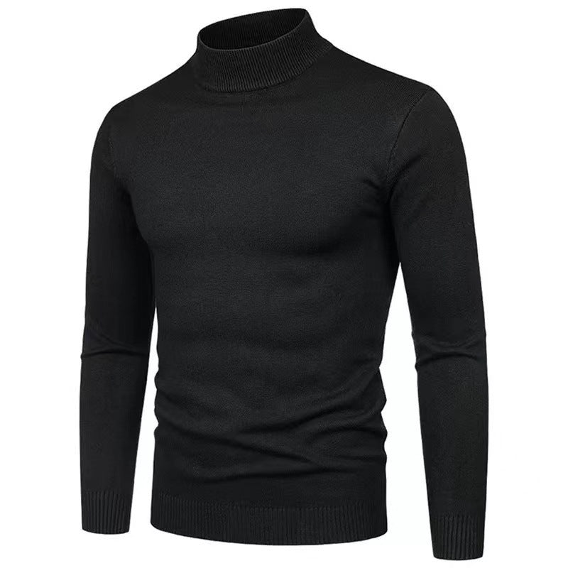 Herren Rollkragenpullover aus hochwertigem Strickmaterial mit feiner Textur Aliams