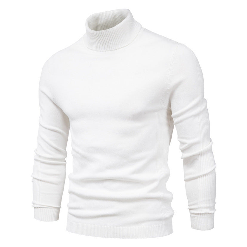Herren Rollkragenpullover aus hochwertiger Wolle Aliams
