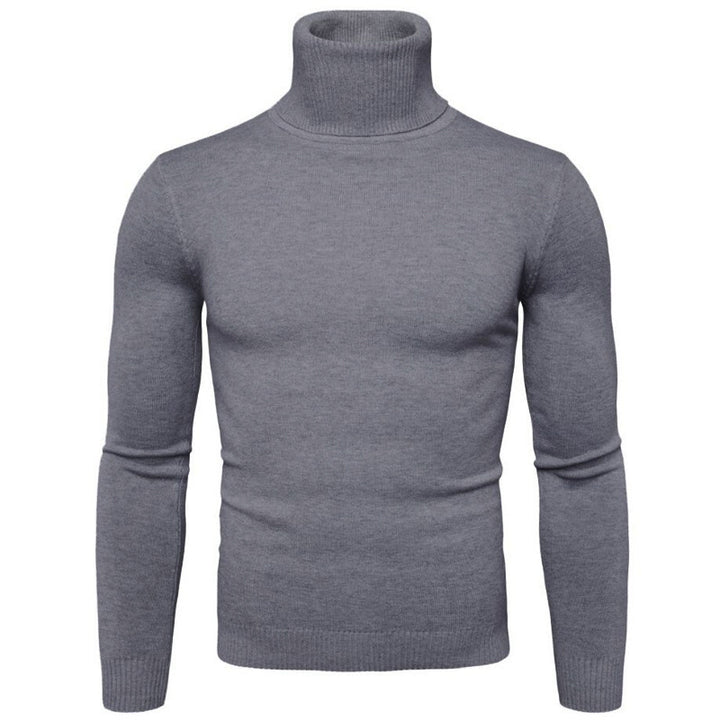 Herren Rollkragenpullover aus feiner Strickware Aliams
