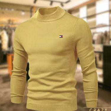 Herren stilvoller Rollkragenpullover aus weicher Merinowolle Aliams
