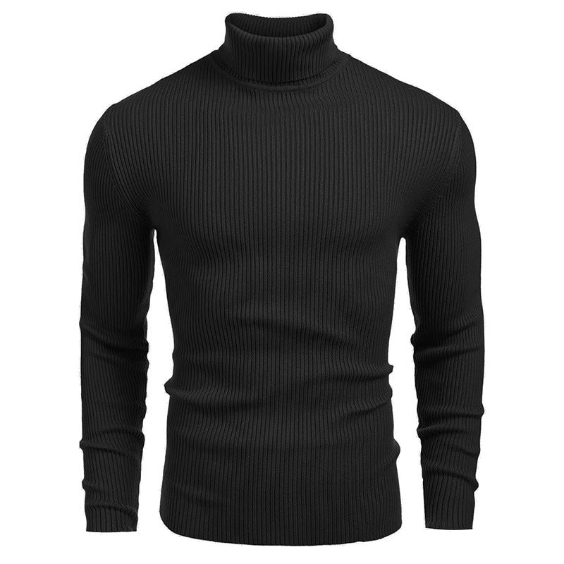 Herren Rollkragenpullover aus feinem Rippstrick Aliams
