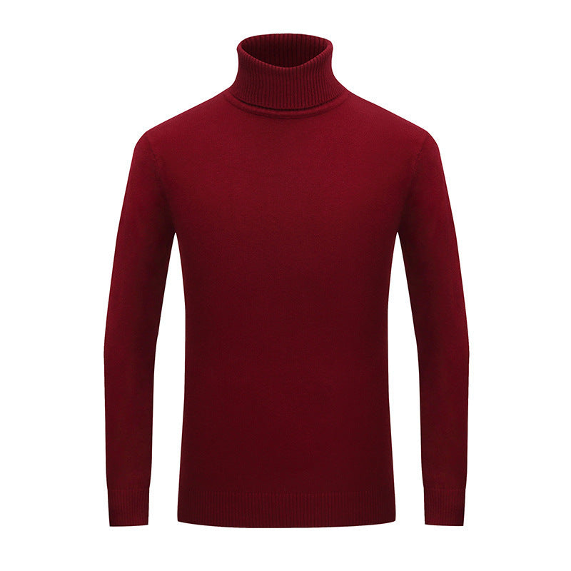 Herren Rollkragenpullover aus weichem Baumwollmix Aliams