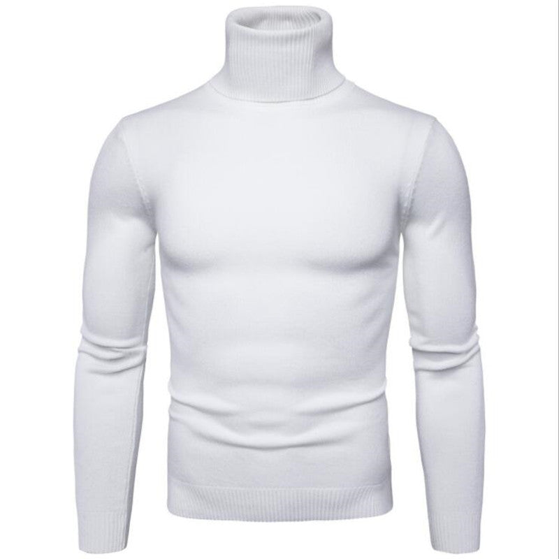 Herren Strickpullover mit hohem Kragen und schmalem Schnitt Aliams