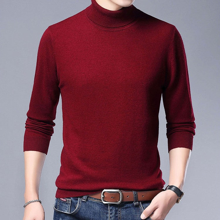 Herren Eleganter Rollkragenpullover aus feiner Wolle Aliams