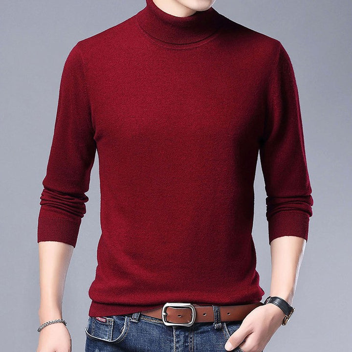 Herren Rollkragenpullover aus weichem Baumwollmix Aliams