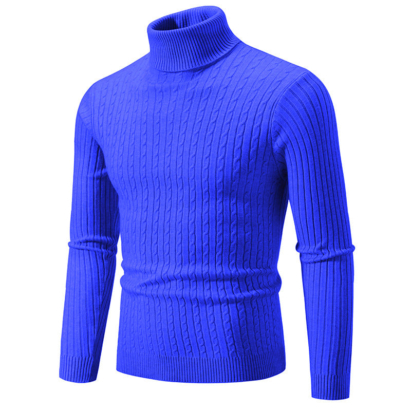Herren Rollkragenpullover mit strukturiertem Zopfmuster Aliams