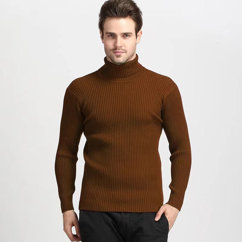 Herren Rollkragenpullover mit feiner Rippenstruktur und hohem Tragekomfort Aliams