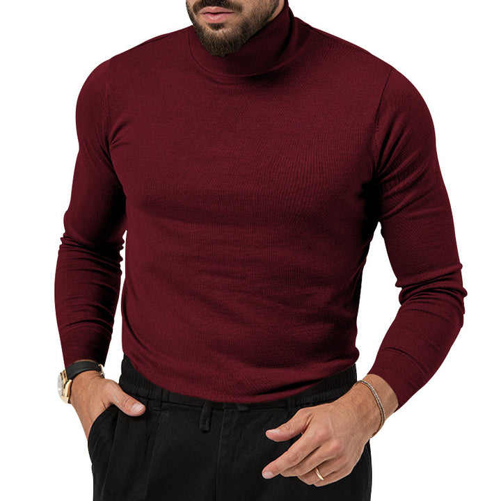 Herren eleganter Rollkragenpullover mit strukturierter Oberfläche und hochwertigem Baumwollmix Aliams