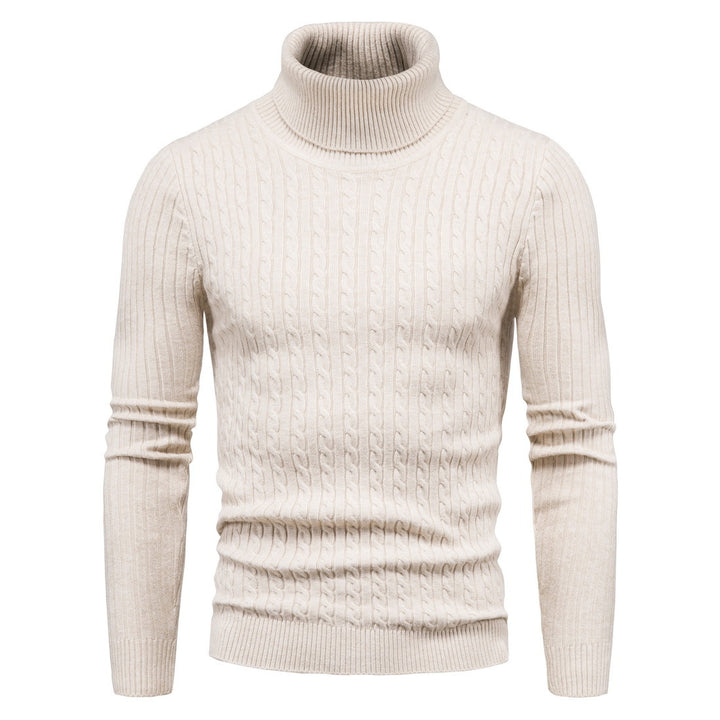 Herren komfortabler Rollkragenpullover Aliams