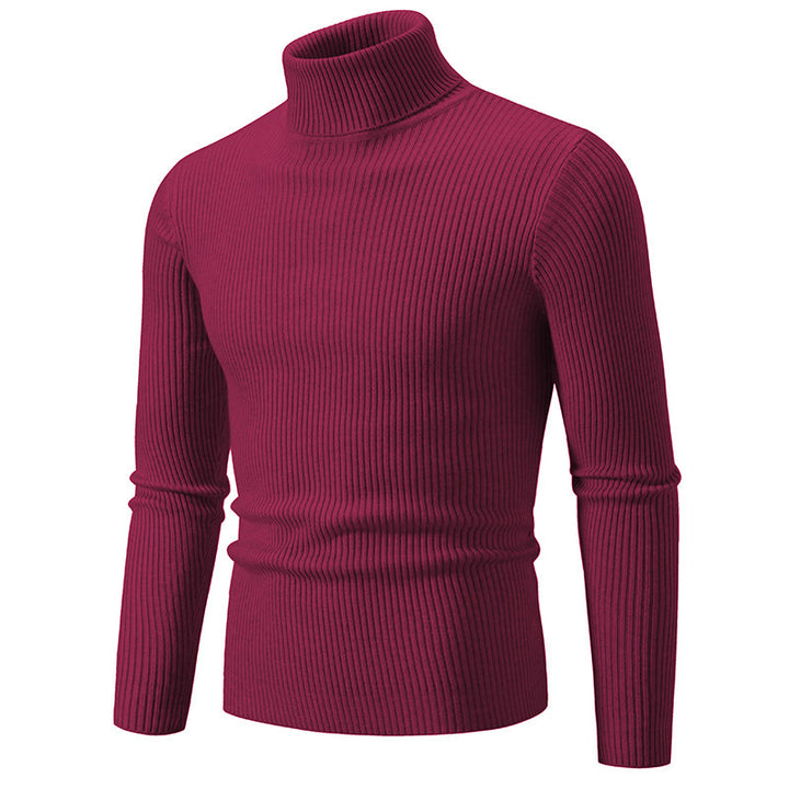 Herren Rollkragenpullover aus fein geripptem Material Aliams