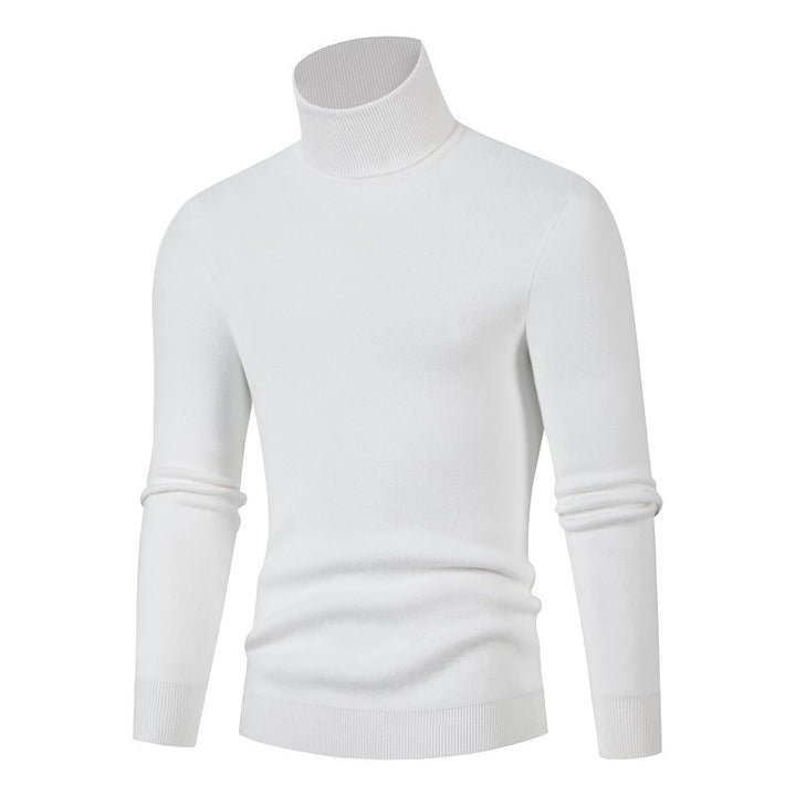 Herren Rollkragenpullover aus weichem Material Aliams