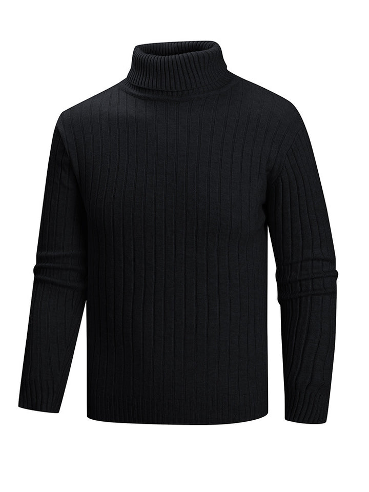 Herren Rollkragenpullover aus hochwertigem Feinstrick Aliams