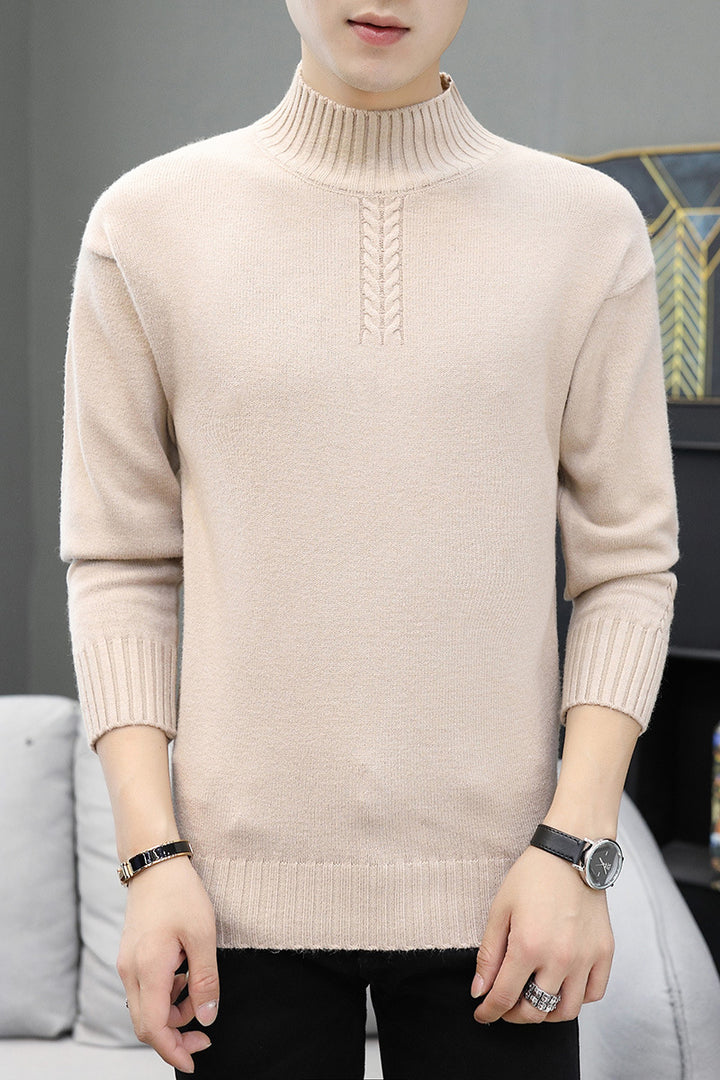 Herren Strickpullover mit hohem Kragen und Rippstrickdetails Aliams