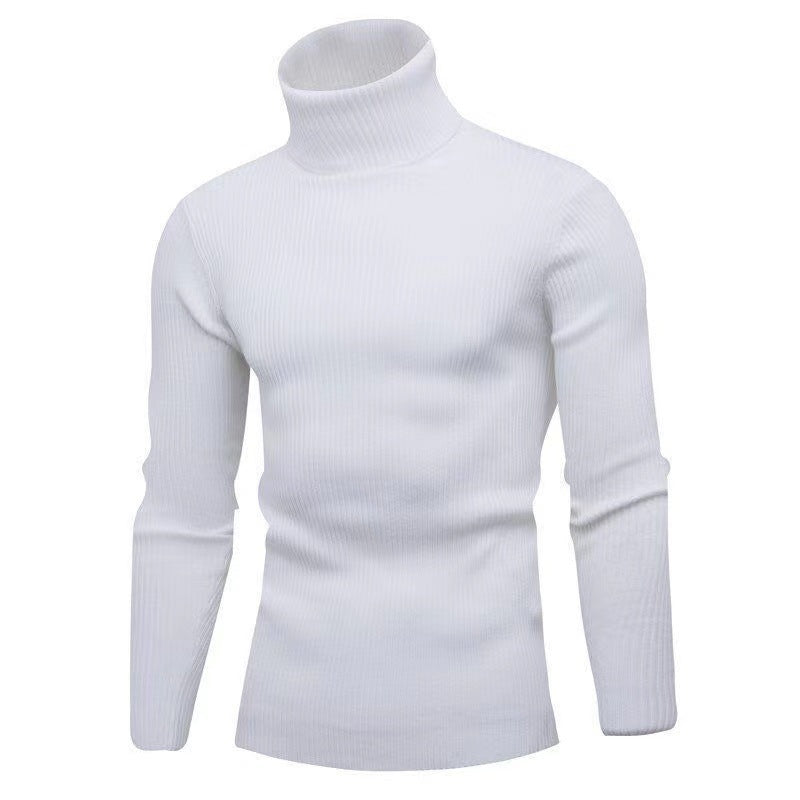 Herren Eleganter Rollkragenpullover aus feiner Strickqualität Aliams