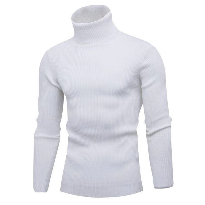 Herren Eleganter Rollkragenpullover aus feiner Strickqualität Aliams