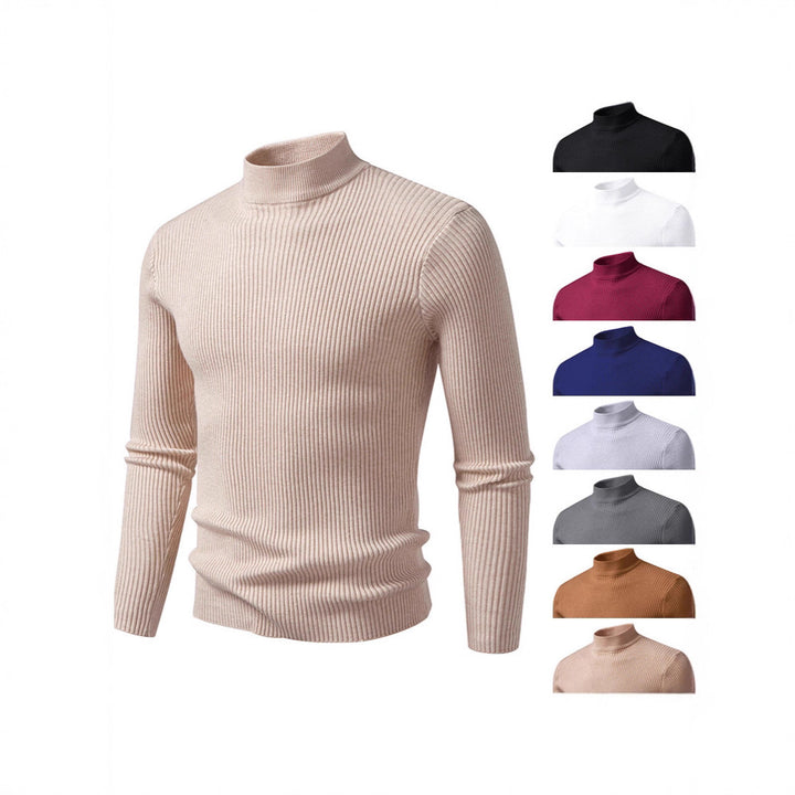 Herren Rollkragenpullover aus strukturiertem Strickmaterial Aliams