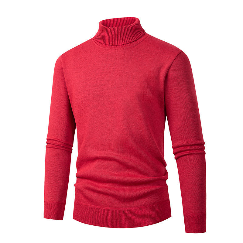 Herren eleganter Rollkragenpullover aus hochwertigem Material Aliams