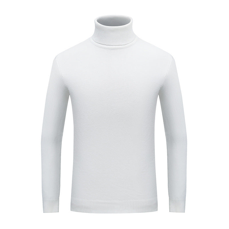 Herren Eleganter Rollkragenpullover aus feiner Wolle Aliams