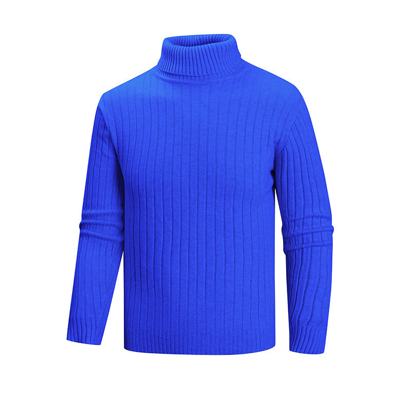 Herren Strickpullover mit Stehkragen Aliams