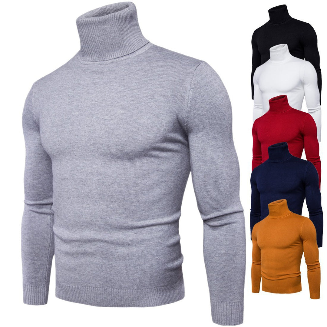 Herren Rollkragenpullover aus feiner Merinowolle Aliams
